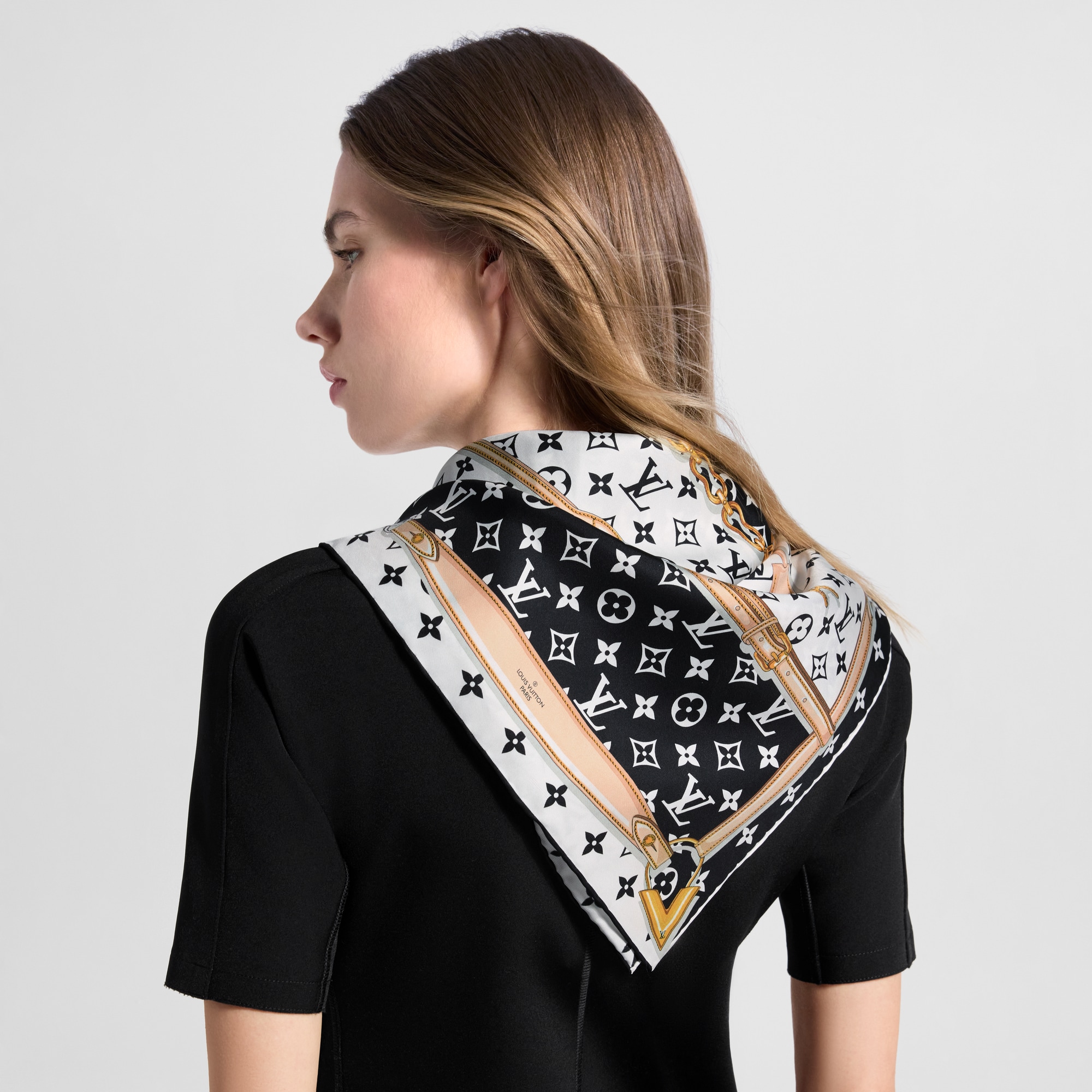 Monogram Confidential Square . - Luxury Accessories - M78667 Black